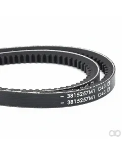Fendt - 3815257M1 - V-Belt, Sold as a Matched Pair