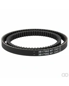 Fendt - 3817582M1 - V-Belt, Sold as a Matched Pair