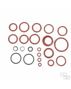 Fendt - F716961020020 - Seal Kit, Directional Valve