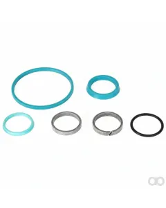 Fendt - F737921020040 - Seal Kit