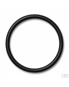 Fendt - F743300020060 - O-Ring