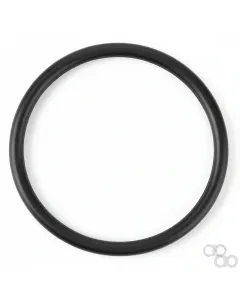 Fendt - F842201190010 - Seals