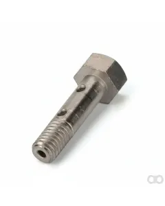 Fendt - F926200710100 - Banjo Bolt