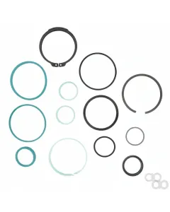 Fendt - F931870051010 - Seal Kit, Hydraulic Cylinder