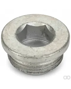 Fendt - FEL132411 - Plug Screw