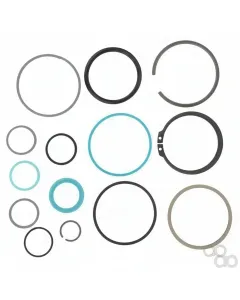 Fendt - G001990011450 - Seal Set Hydraulic Cylinder