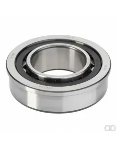 Fendt - G312100080100 - Cylinder Roller Bearing