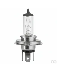 Fendt - LA14152090 - Bulb 12V 60/55W