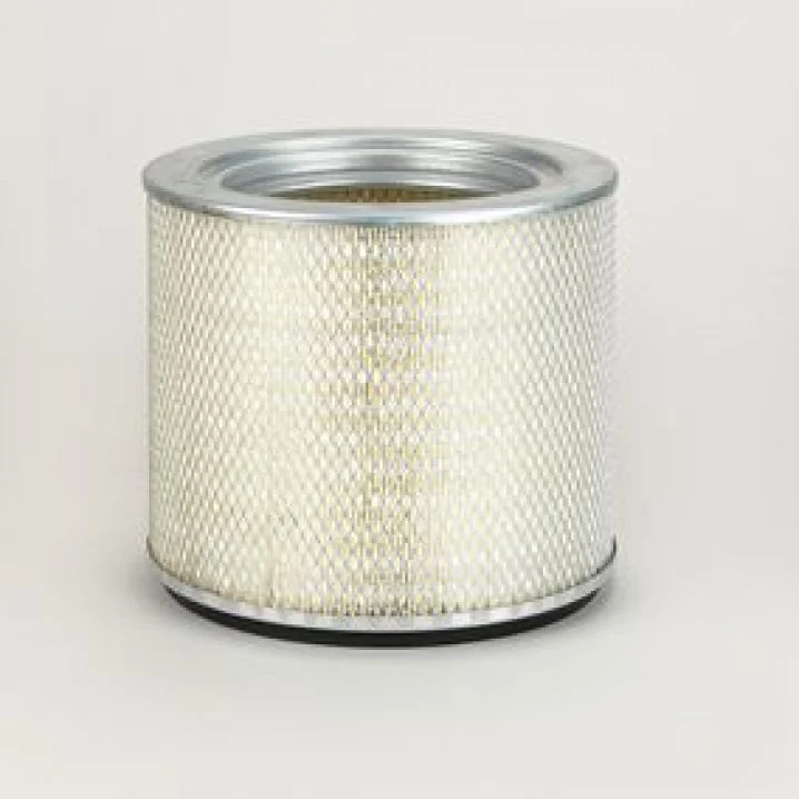 Donaldson - P119595 - Air filter element