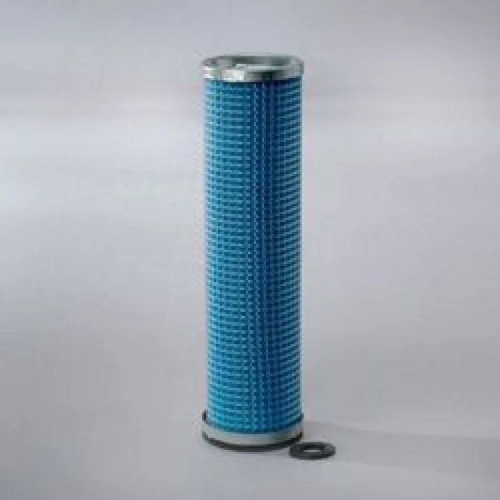 DONALDSON - P123160 - Air Filter