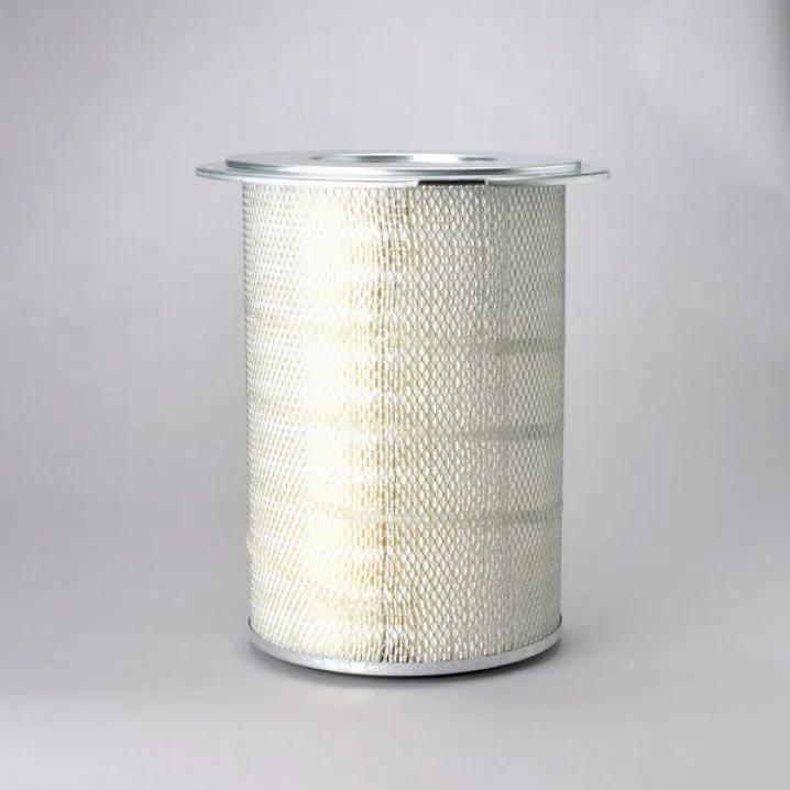 Donaldson - P181055 - Air filter element