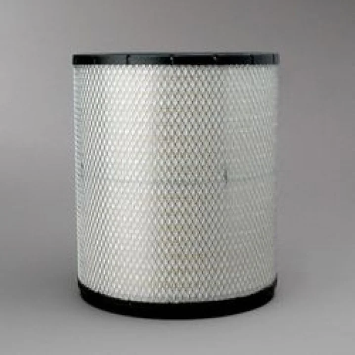 Donaldson - P181118 - Air filter element