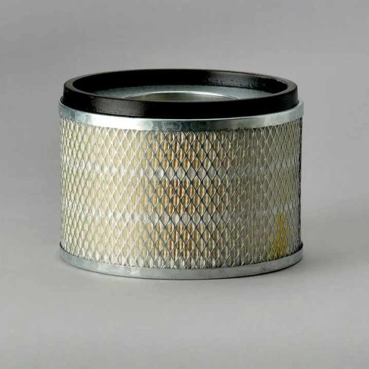 Donaldson - P181125 - Air filter element