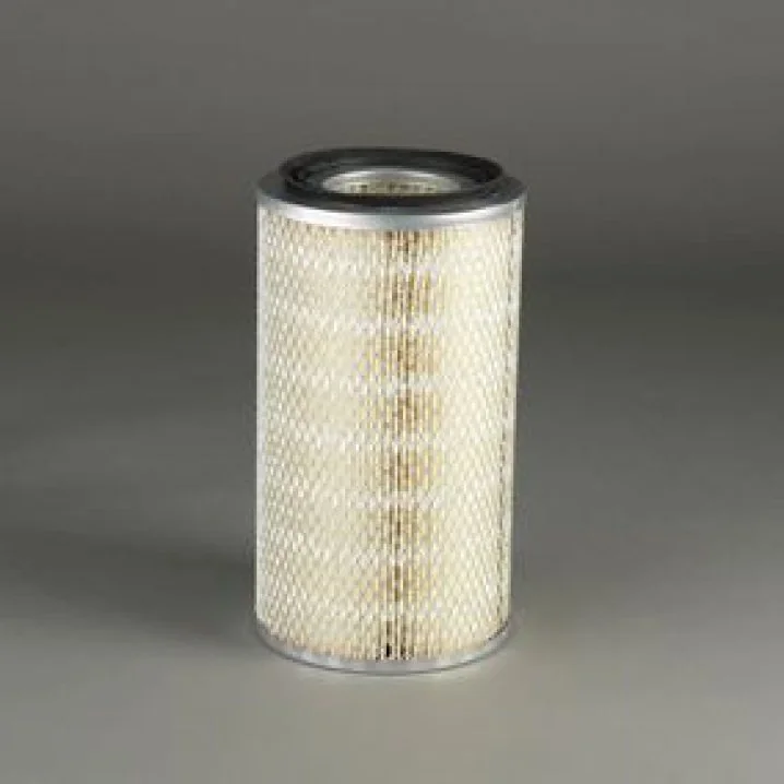 Donaldson - P181163 - Air filter element