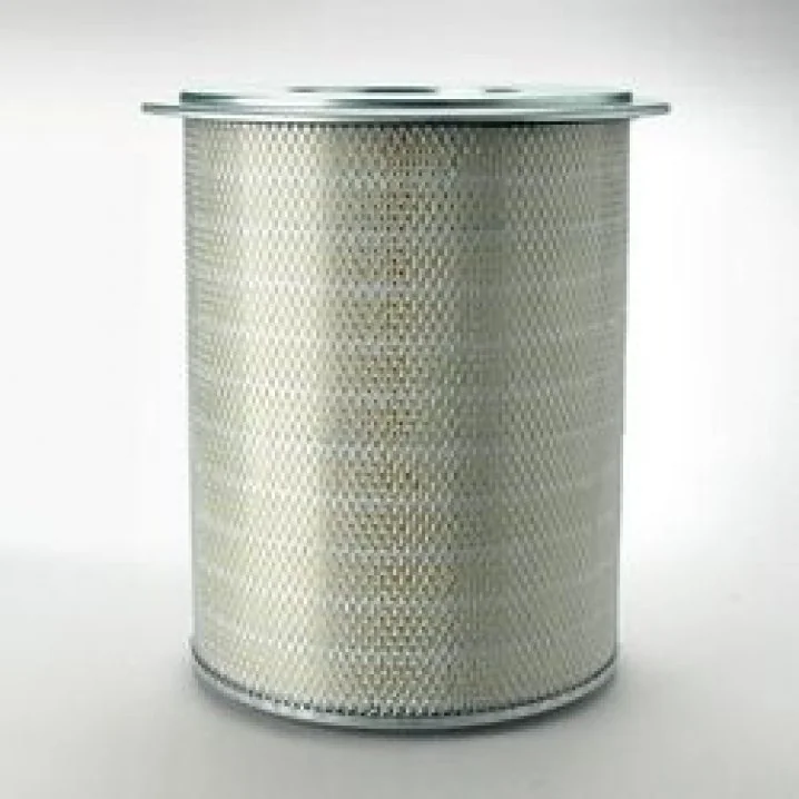 Donaldson - P182099 - Air filter element