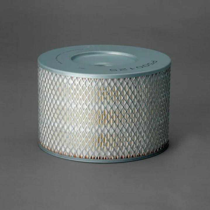 Donaldson - P500125 - Air filter element