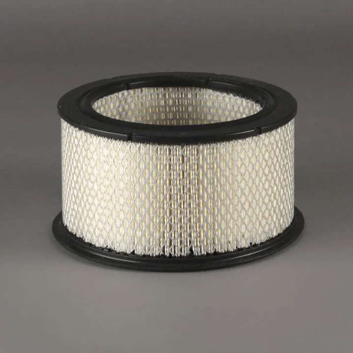 Donaldson - P500245 - Air filter element