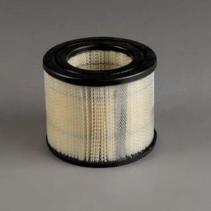 Donaldson - P528221 - Air Filter
