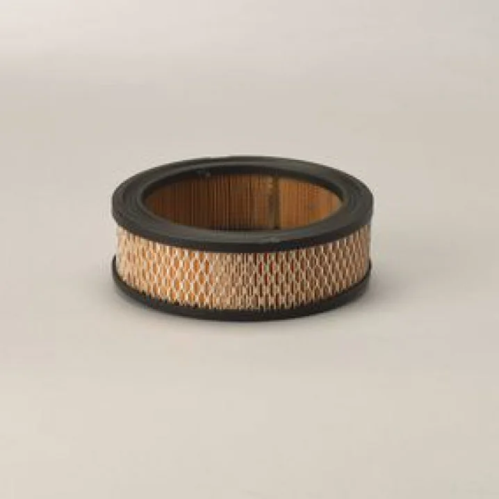 Donaldson - P528231 - Air filter element