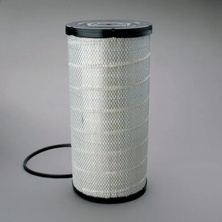 Donaldson - P534816 - Air filter element