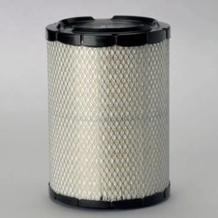 Donaldson - P537405 - Air filter element