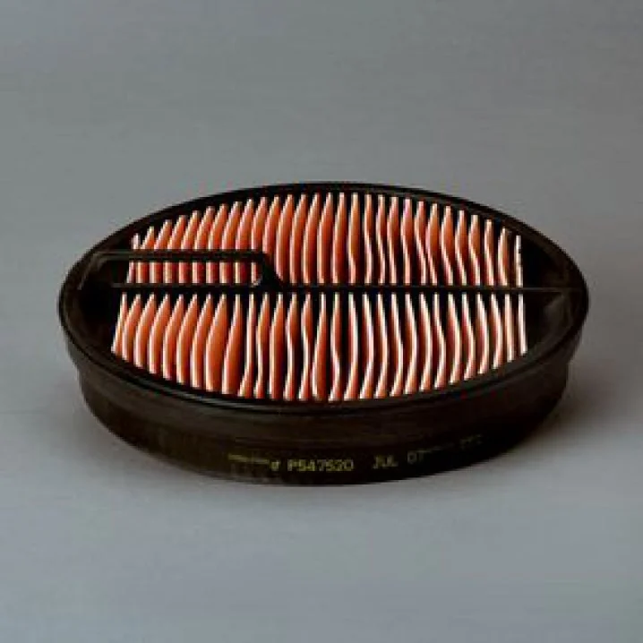 Donaldson - P547520 - Air filter element (secondary)