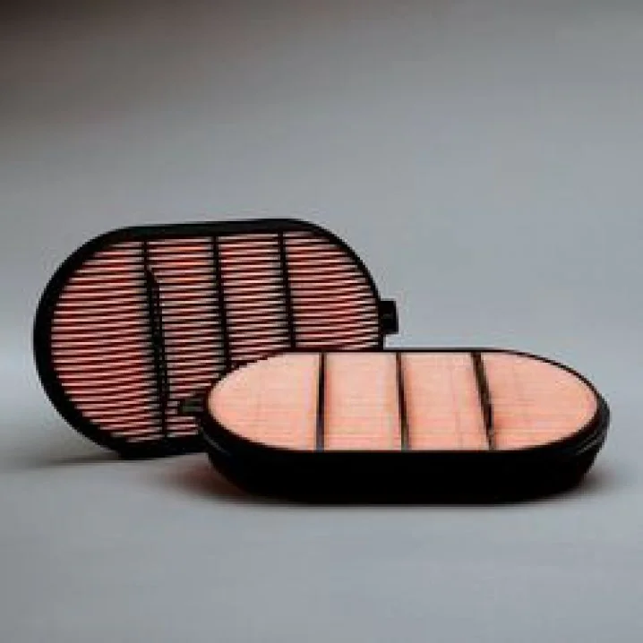 Donaldson - P601560 - Air filter element (secondary)