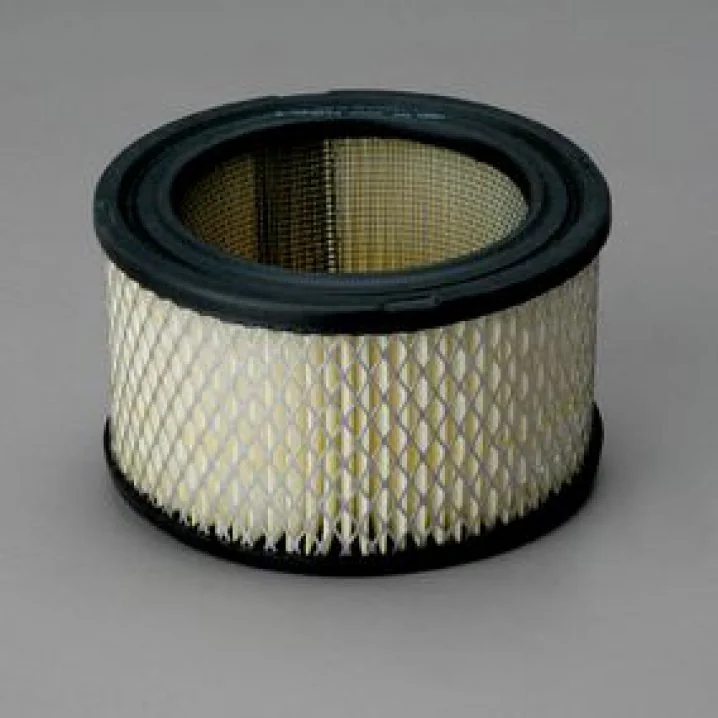 Donaldson - P607234 - Air filter element