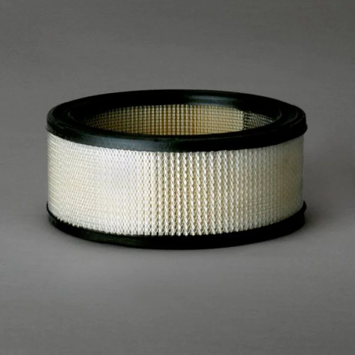 Donaldson - P607255 - Air Filter