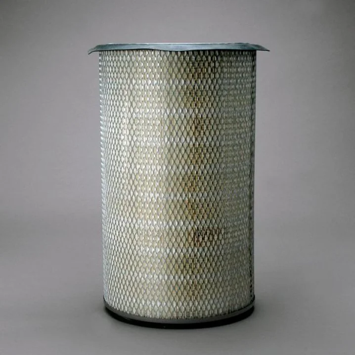 Donaldson - P607263 - Air filter element