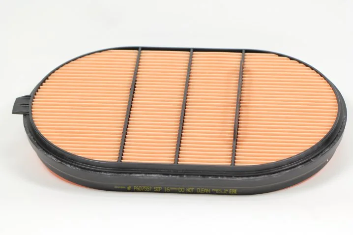 Donaldson - P607557 - Air filter element (secondary)