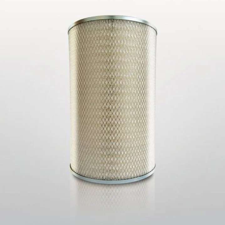 Donaldson - P618899 - Air filter element