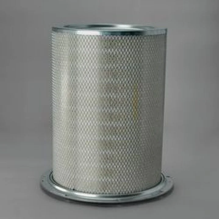 Donaldson - P625130 - Air filter element
