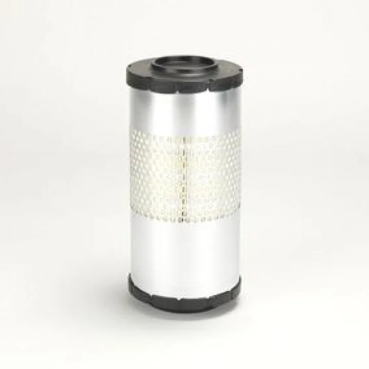 Donaldson - P629560 - Air Filter