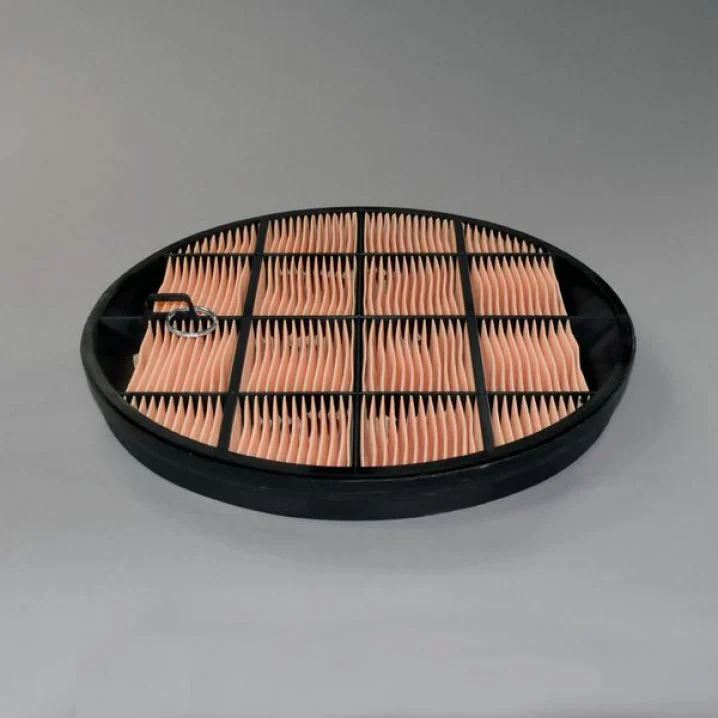 Donaldson - P631511 - Air filter element (secondary)