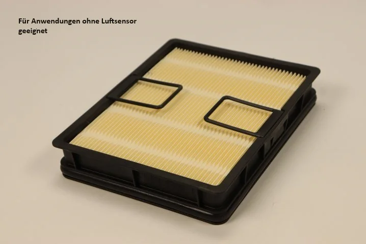 Donaldson - P638062 - Air Filter