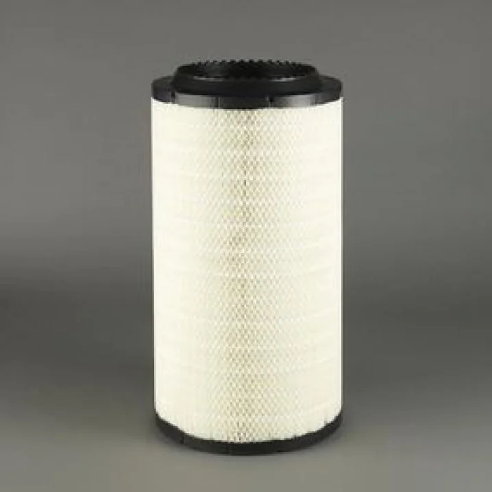 DONALDSON - P782106 - Air Filter