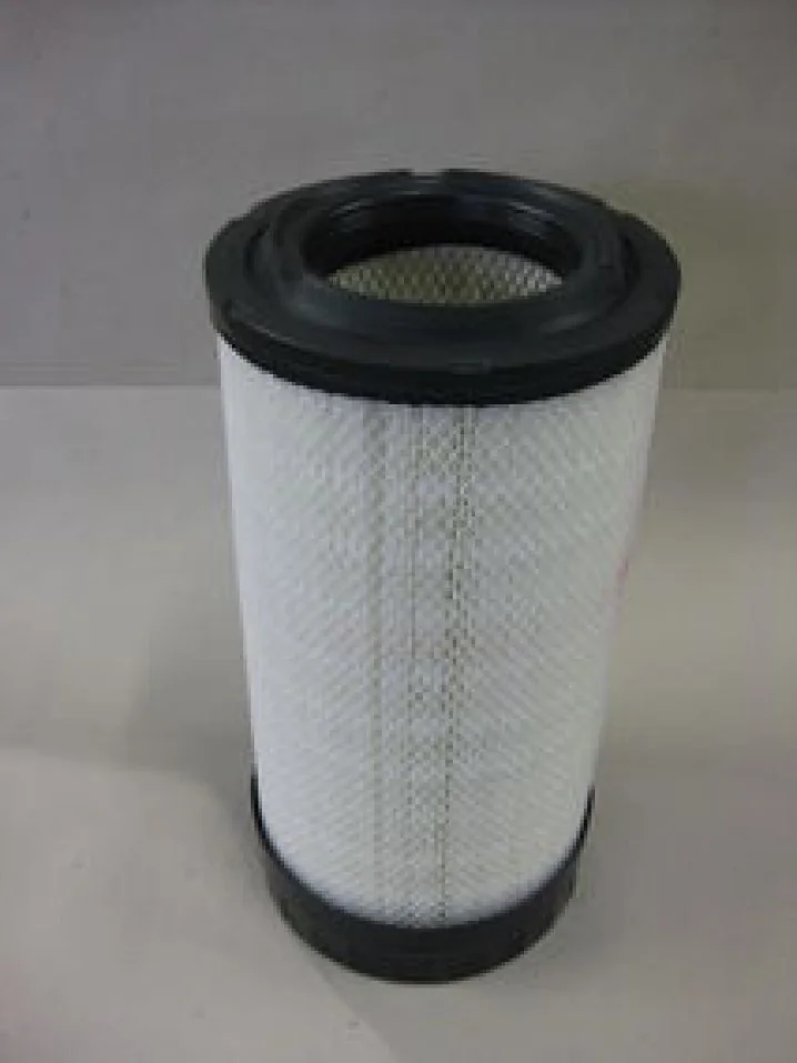 Donaldson - P785396 - Air Filter