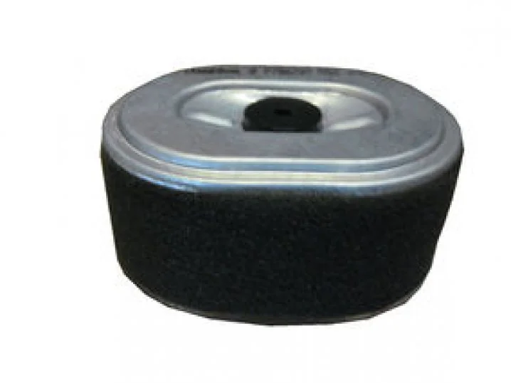 Donaldson - P786789 - Air Filter