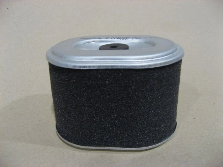 Donaldson - P786889 - Air Filter