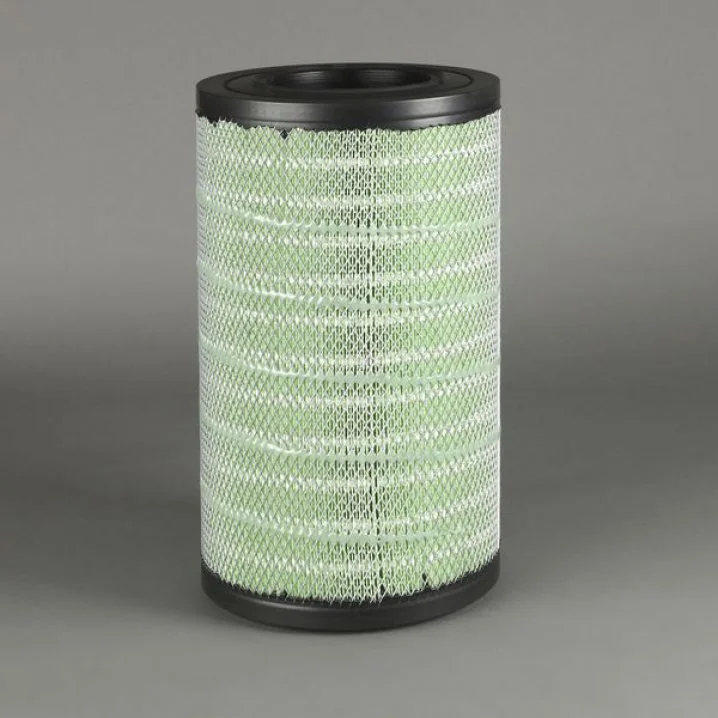 Donaldson - P951919 - Air Filter