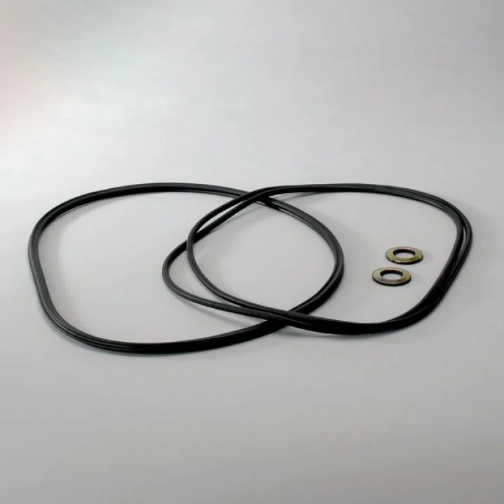 Donaldson - X003538 - Gasket kit