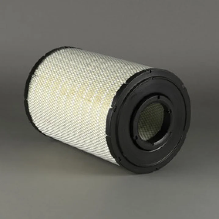 Donaldson - X770882 - Air filter