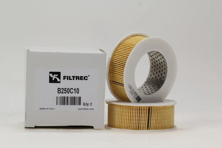 Filtrec - B250C10 - Air filter element