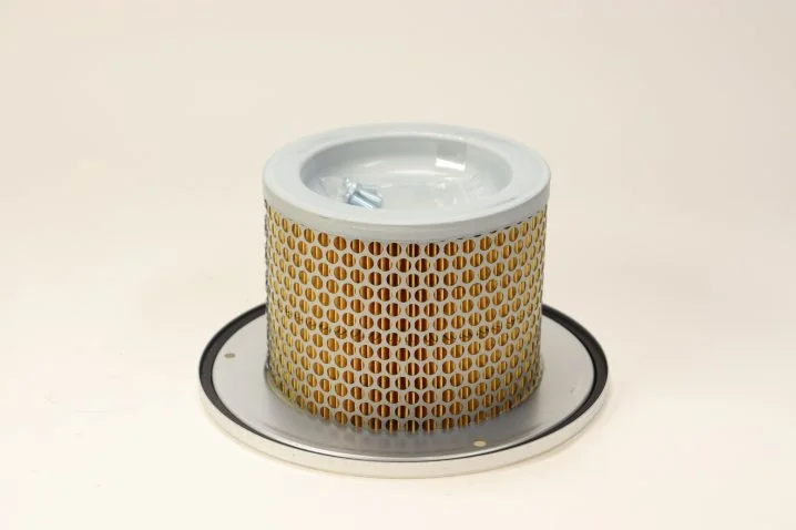 Mann-Filter - C 1374/2 KIT - Air filter element (service kit)