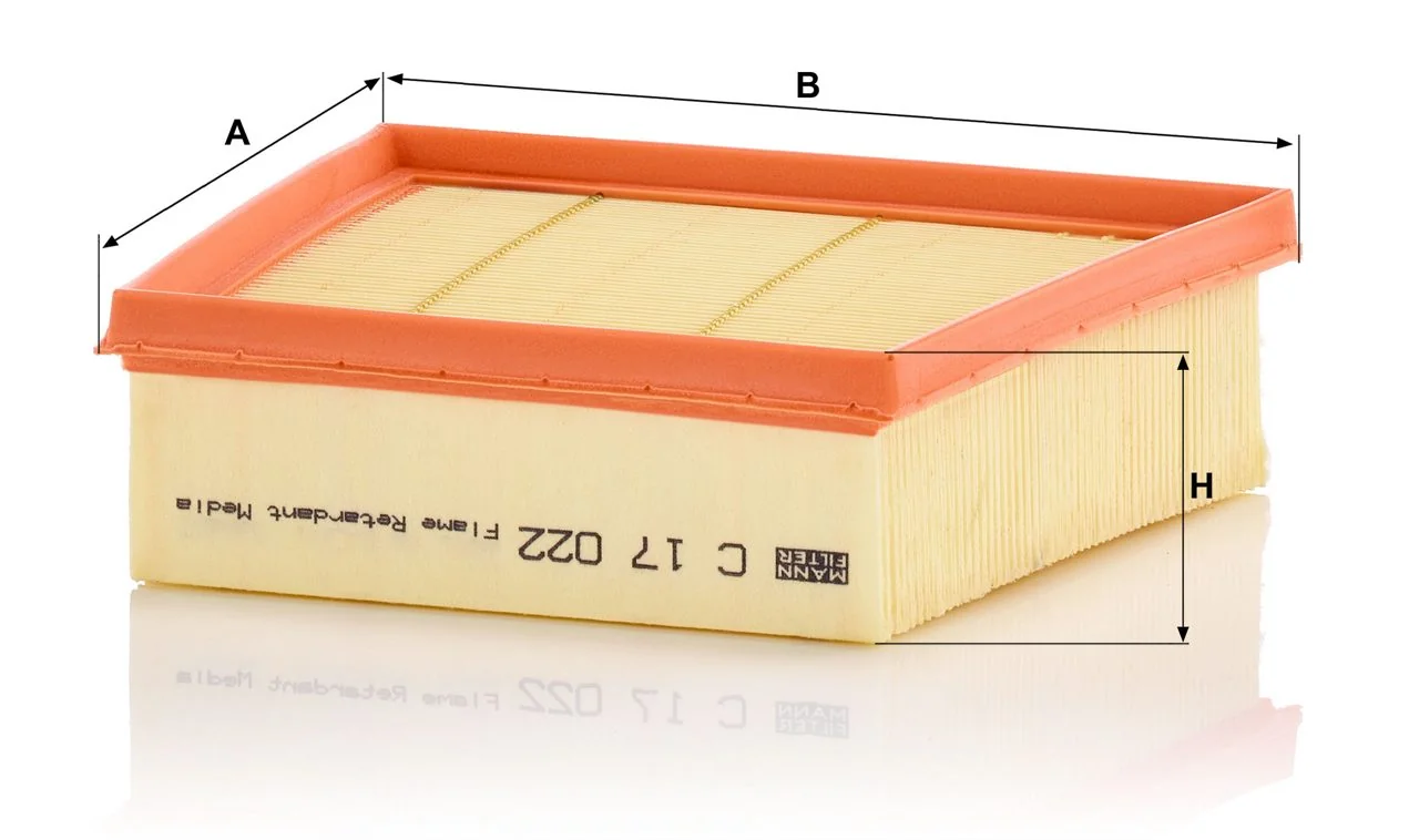 Mann-Filter - C 17 022 - Air filter element