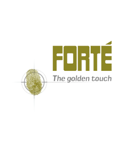 Forté - 00114 - FORTE MOTOR FLUSH