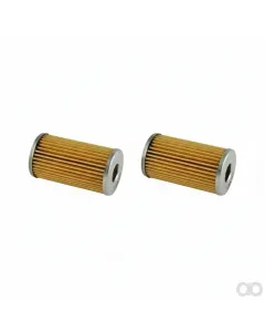 Gianni Ferrari - 0032030100 - Diesel Filter Cartridge (P.R.)