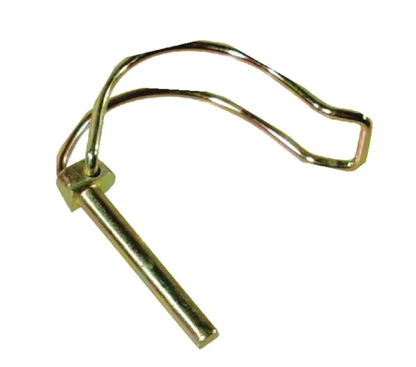 AGCO - 124287 - Pin 6x30 Special Fella