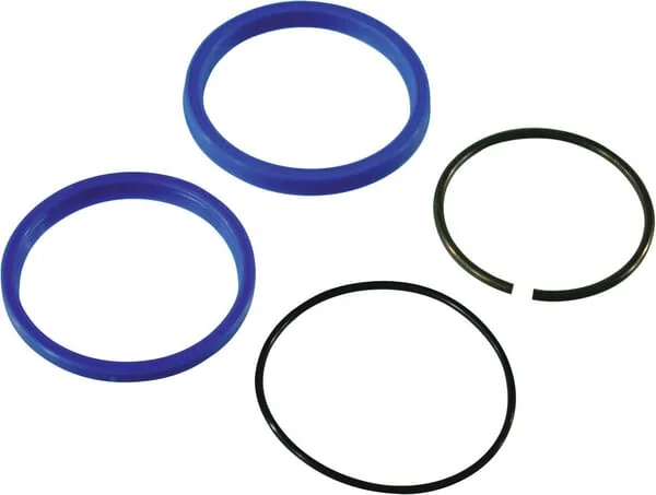 AGCO - 127526 - Seal Kit for 123.198 Fella